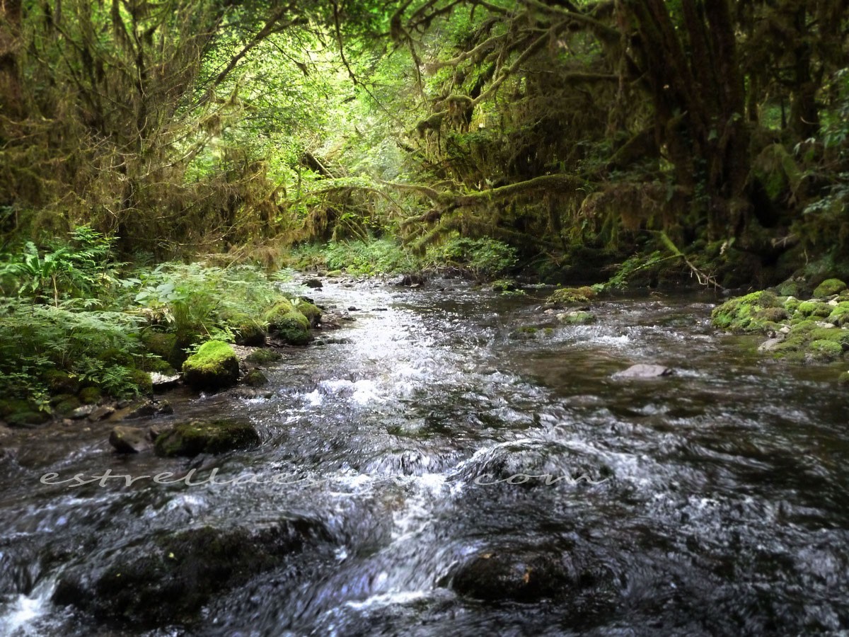 Parc National des Pyrénées – 2