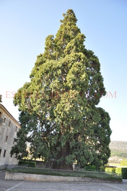 Santo Domingo de Silos