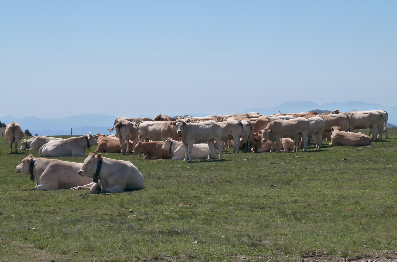En la cima del mundo… màs o menos