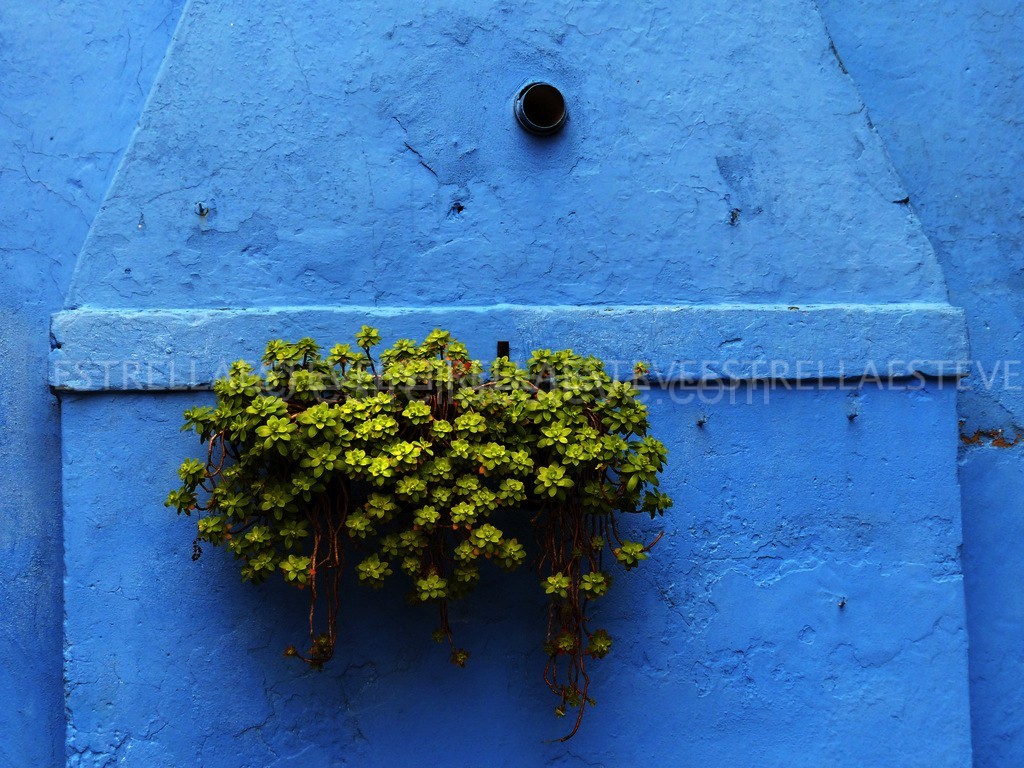 Burano, todos los colores del mundo