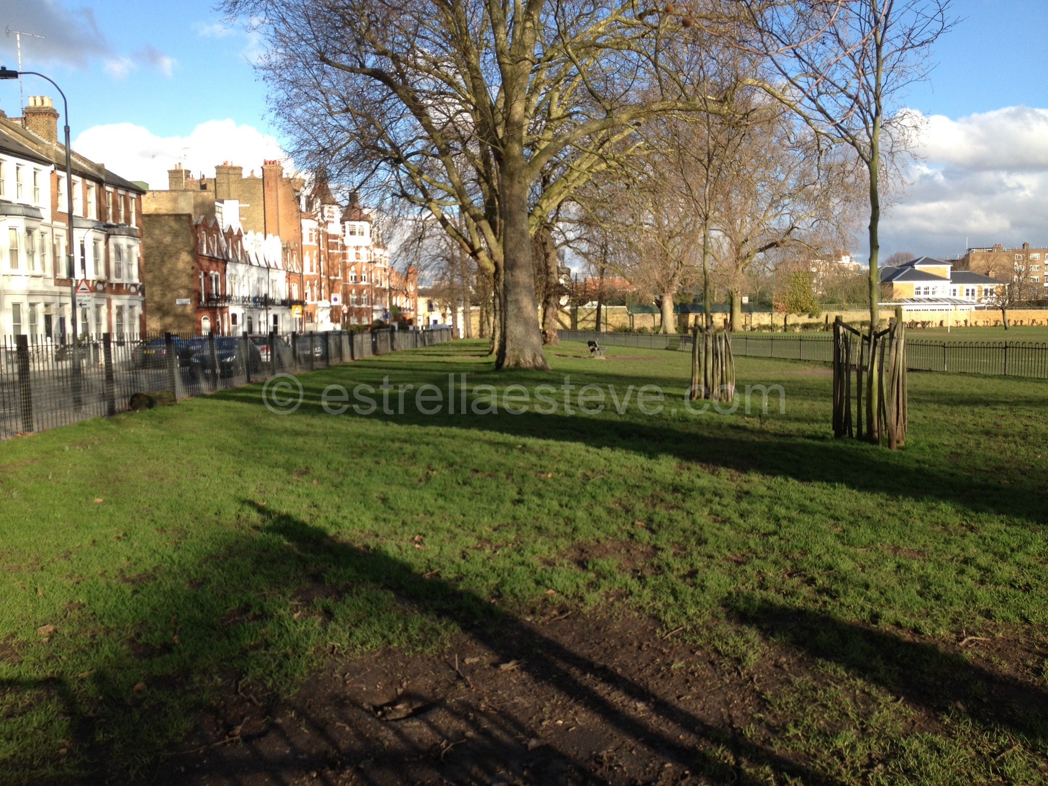 Perros y gatos – Londres