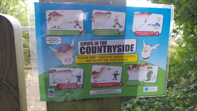 Surrey – La campiña británica