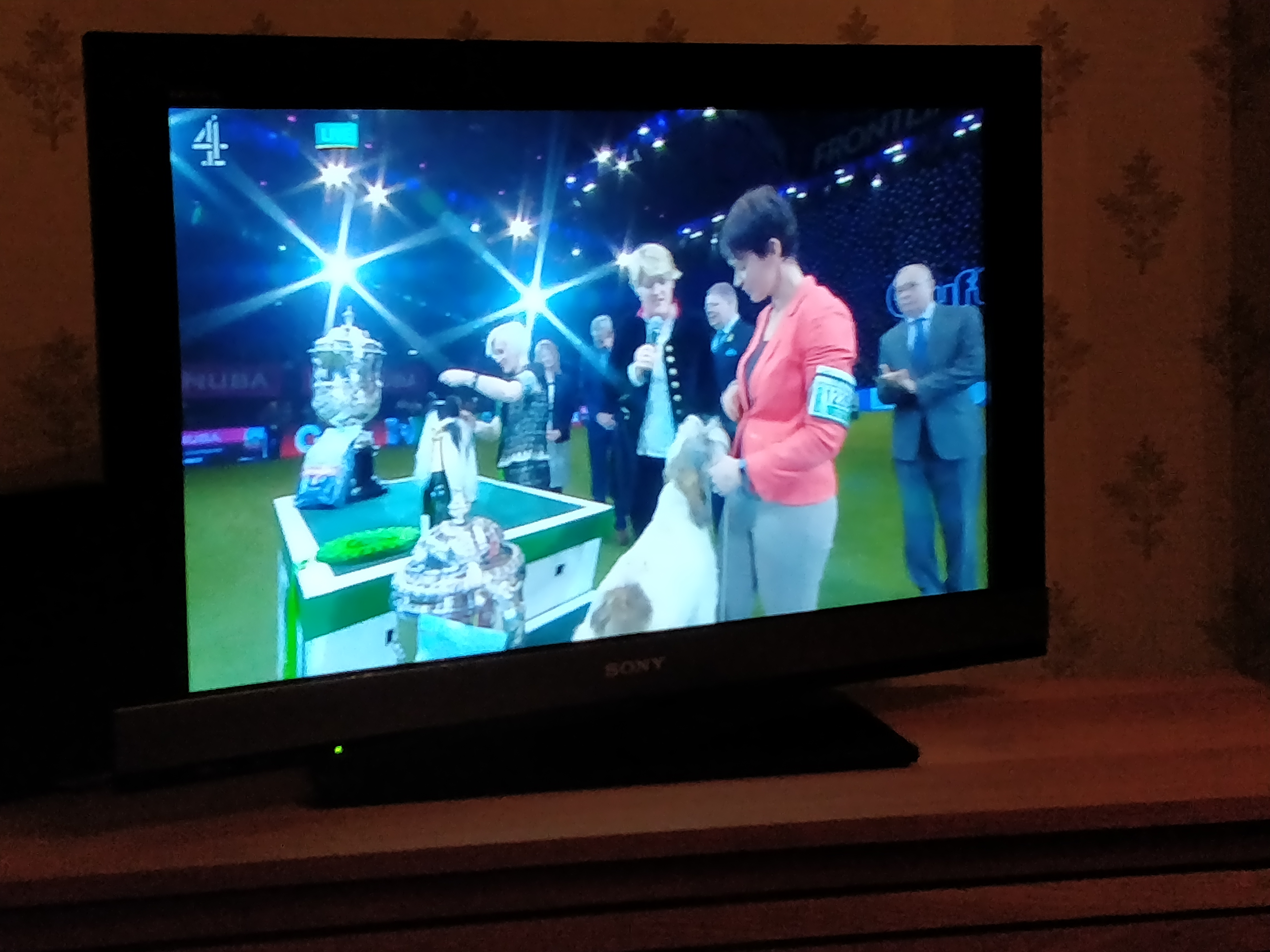 Crufts – Tarde de domingo