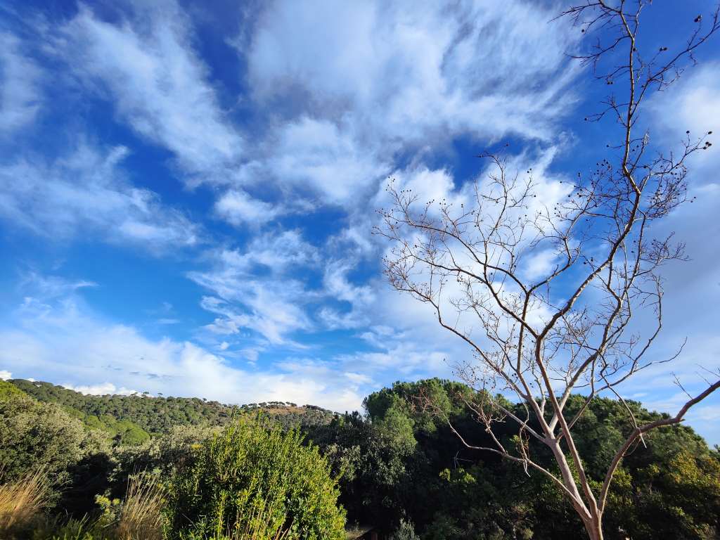 Pues va a ser que no, la lluvia