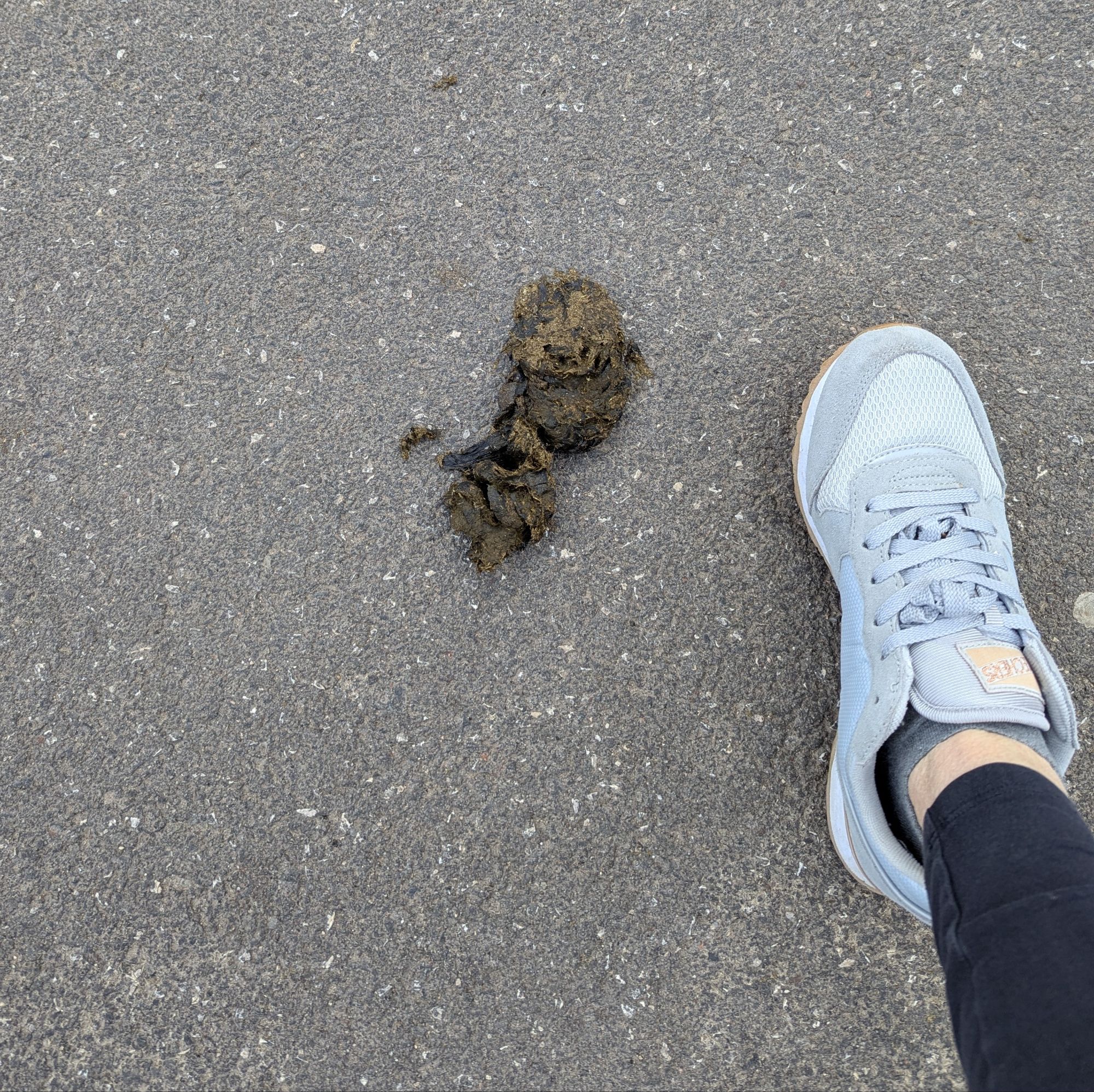 Charlas con AIAI – La caca sin nombre