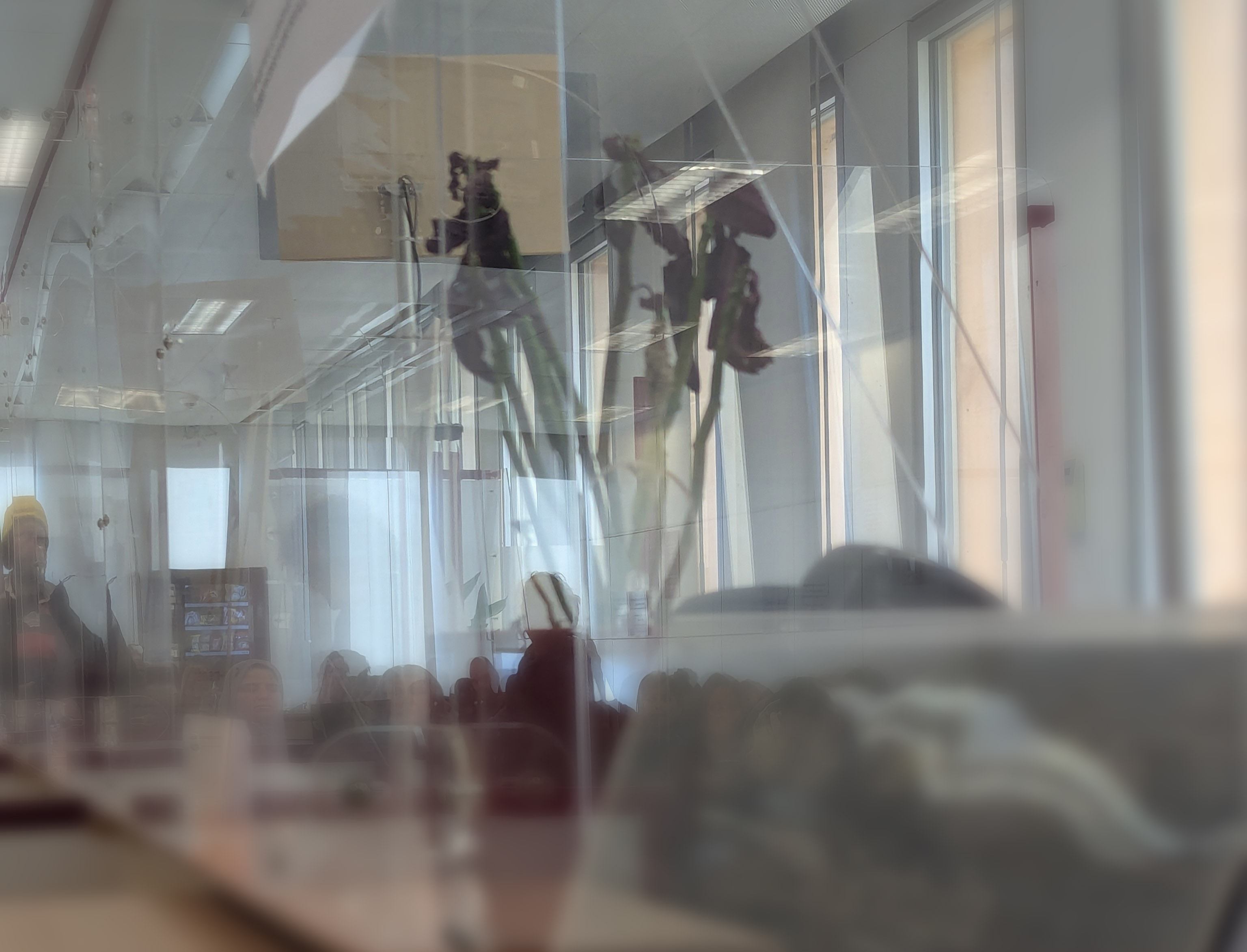 Viaje al pasado – funcionarios