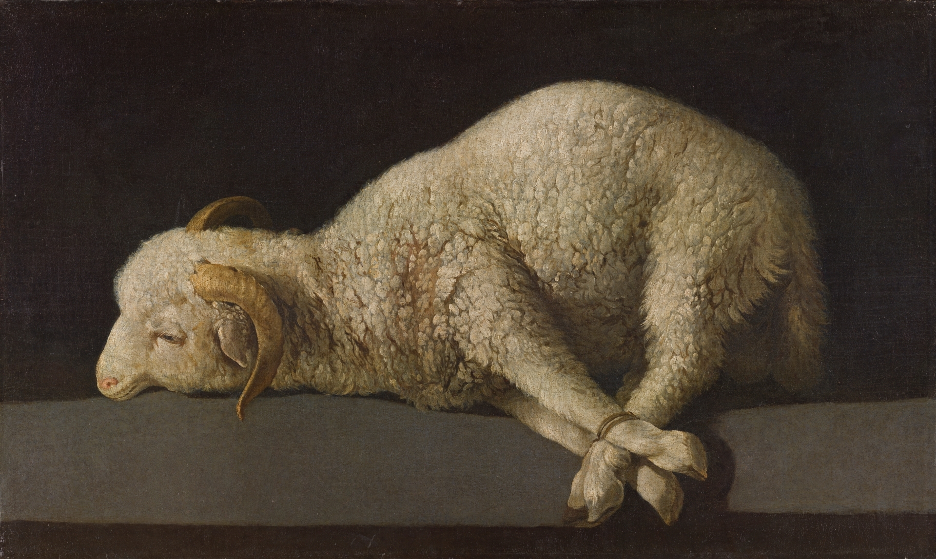 Agnus dei – Zurbaran